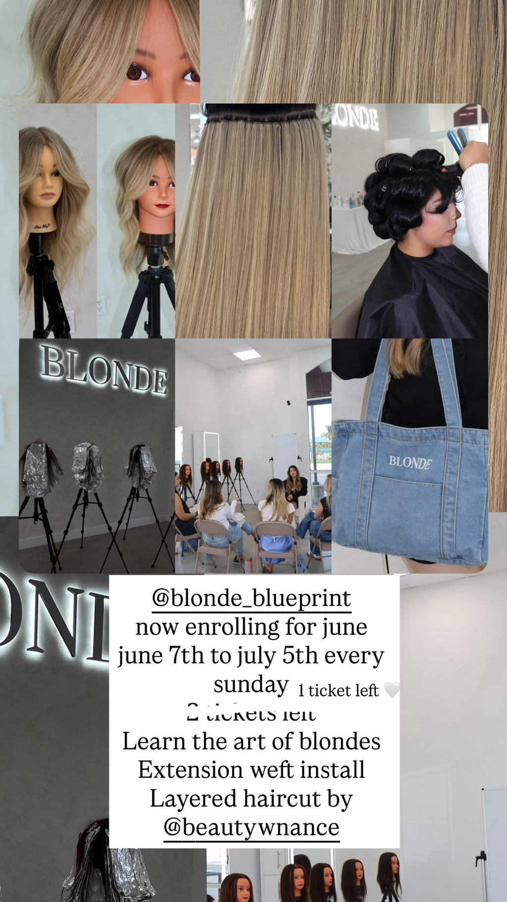 Blonde Blueprint Course