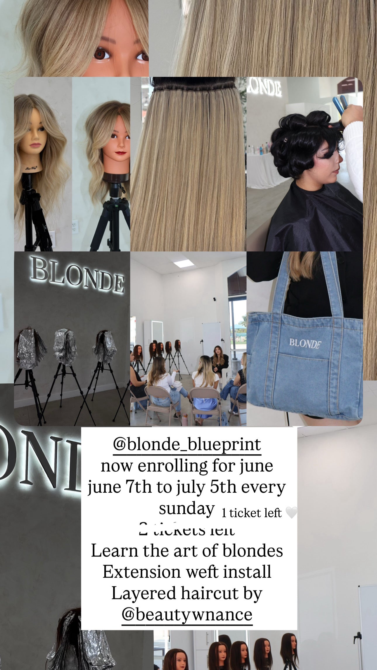 Blonde Blueprint Course